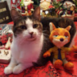 Meet your Posher, Lorraine